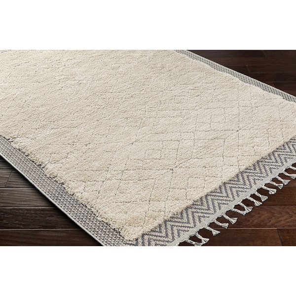 Sousse SUS-2305 Area Rug , With Fringe